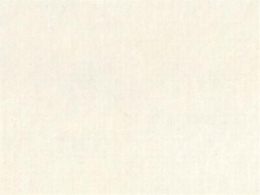 ECOFELT RICICL.TERMOFORMABILE col.41 LATTE cm.50x70 100%PL