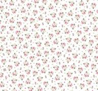 Edenroses Caprice Printed Tissue cm.35x50