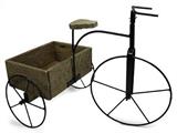 Burley Bicycle