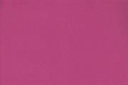 FOMMY 60X40/2mm. col.rosa fuxia