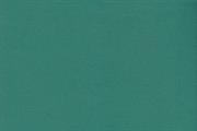 FOMMY 60X40/2mm. col.verde scuro