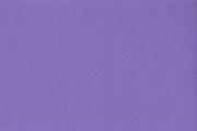 FOMMY 60X40/2mm. col.violetto