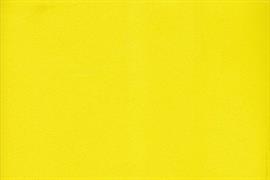 FOMMY 60X40/2mm. col.giallo