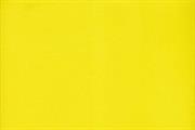 FOMMY 60X40/2mm. col.giallo