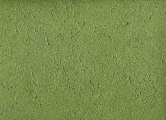 MULBERRY PAPER C.66 GREEN MOSS CM.65X90