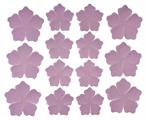 PRIMETTE ROSE col. lilac/ivory cm.25x30