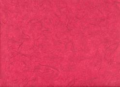 CARTA SILK GR.25 COL.21 ROSSO CALDO cm.63X93