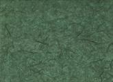 CARTA SILK GR.25 COL.68 VERDE SC. cm.63X93